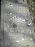 image of grave number 60502